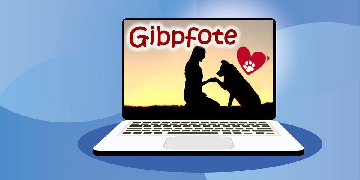 Online Beratung bei Gibpfote